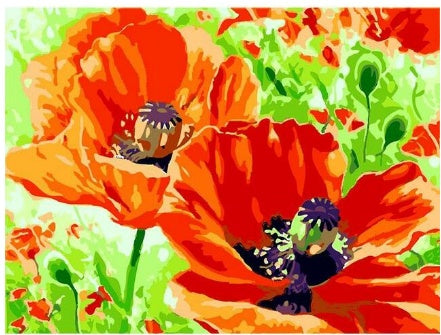 Orange Blossom Diy Digital Oil Painting